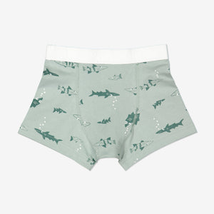 Boy Green Boys Fish Print Boxer Shorts