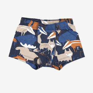 Organic Cotton Blue Kids Boxers from the Polarn O. Pyret kidswear collection. The best ethical kids clothes