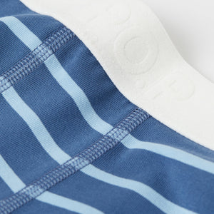 Organic Cotton Blue Boys Boxer Shorts from the Polarn O. Pyret kidswear collection. Ethically produced kids clothing.