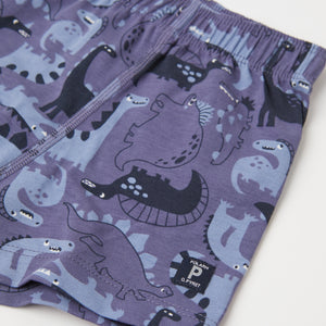 Organic Cotton Boys Boxer Shorts from the Polarn O. Pyret kidswear collection. Ethically produced kids clothing.