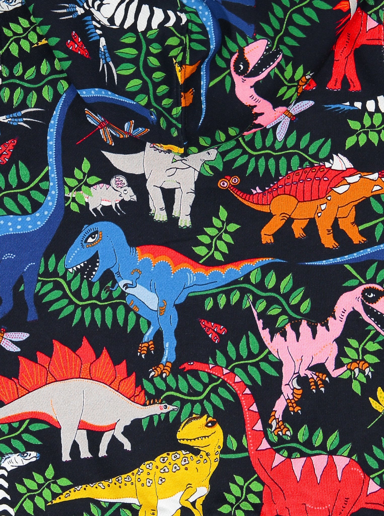 Dinosaur Print Wraparound Babygrow