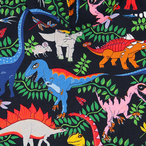 Dinosaur Print Wraparound Babygrow